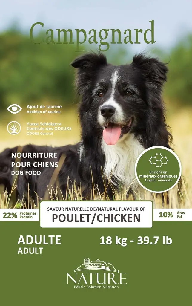CHIEN CAMPAGNARD