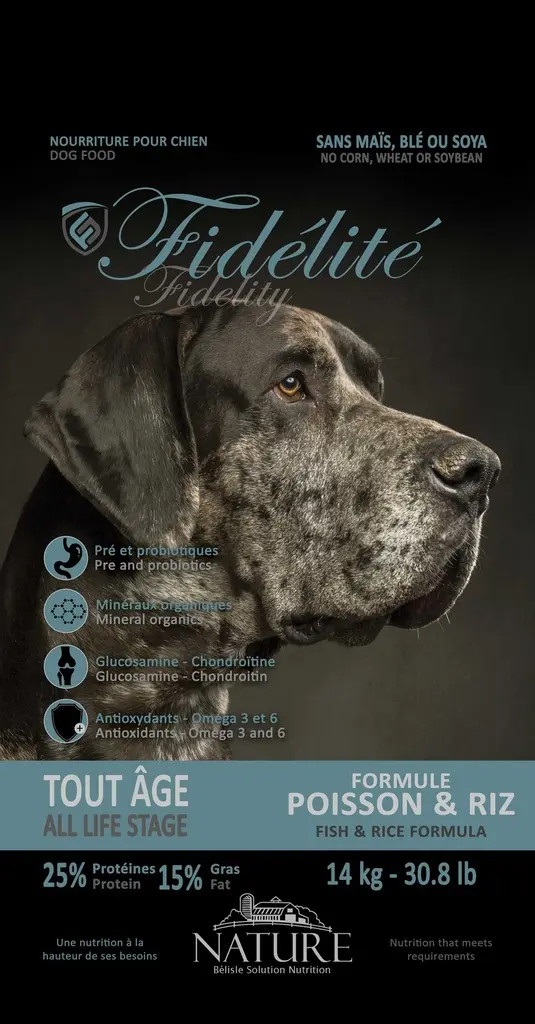 CHIEN FIDELITE POISSON ET RIZ