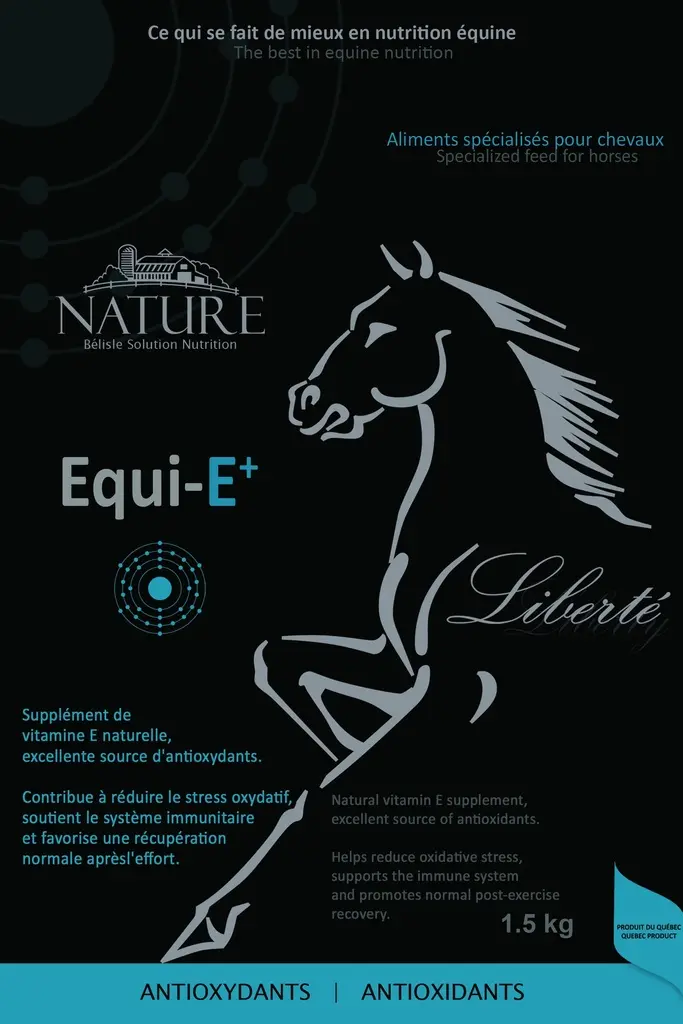EQUI-E+