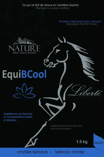 [B2THI10NS] EQUIBCOOL