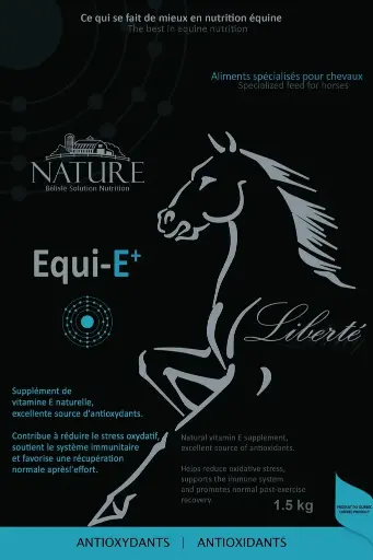 [SHEQUE3MS] EQUI-E+